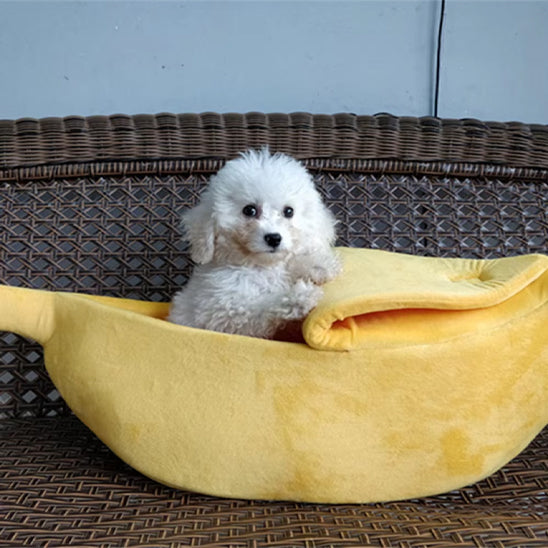 niche-chien-interieur-doghouse-chien-blanc