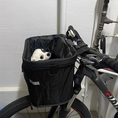Panier vélo chien bikbas noir dedans blanc chien