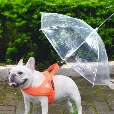 Parapluie chien SnowDog avec un chien blanc laisse orange
