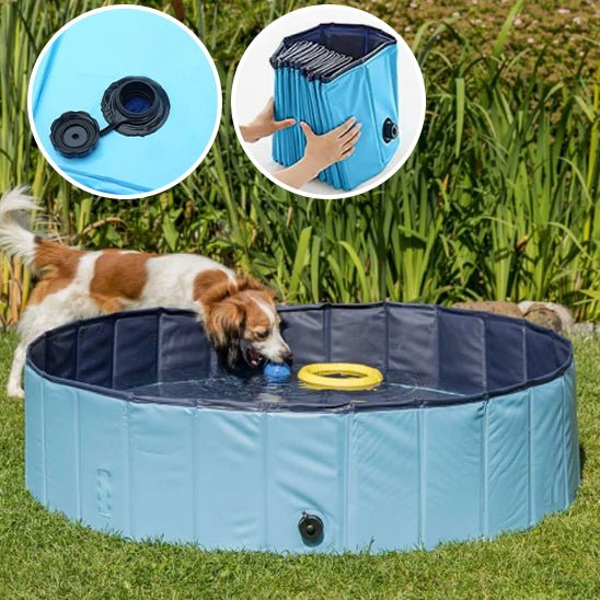 piscine-pour-chien-dogpool-ballon-chien