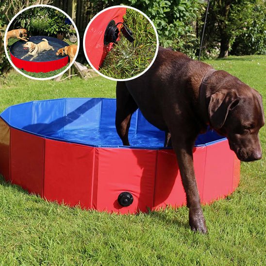 piscine-pour-chien-dogpool-quatre-chien
