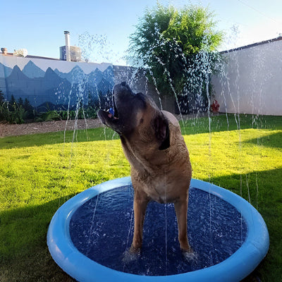 Piscine pour chien pooldog brun jouets eau debout chien