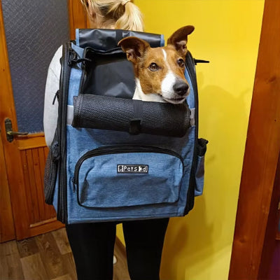 Sac Ă dos chien, bacdog bleu, brun, sortir chien