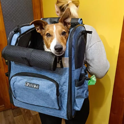 Sac Ă dos chien bacdog brun, bleu sortir chien