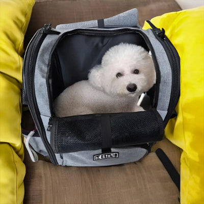 Sac Ă dos chien bacdog gris, blanc chien