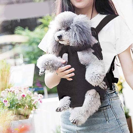sac-de-transport-pour-chien-dogcar-gris-devant-noir-chien