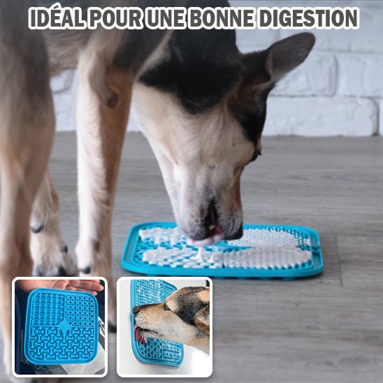 tapis-de-fouille-chien-dogdig-debout-chien
