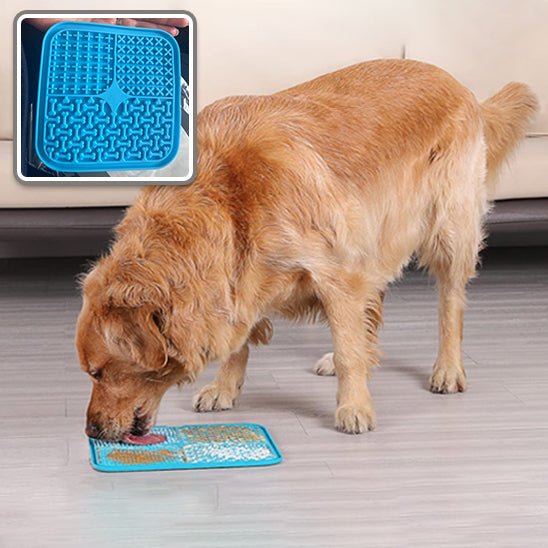 tapis-de-fouille-chien-dogdig-vert-bleu-chien