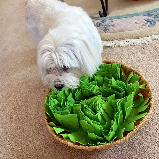 tapis-de-fouille-chien-dogmat-blanc-vert-chien