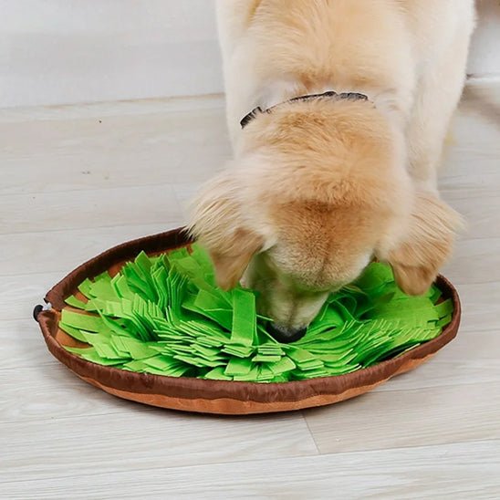 tapis-de-fouille-chien-dogmat-vert-brun-chien