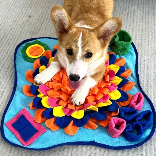 tapis-de-fouille-excavation-bleu-chien