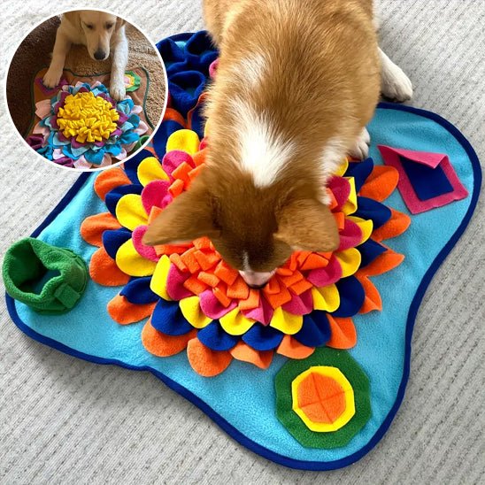 tapis-de-fouille-excavation-brun-bleu-chien