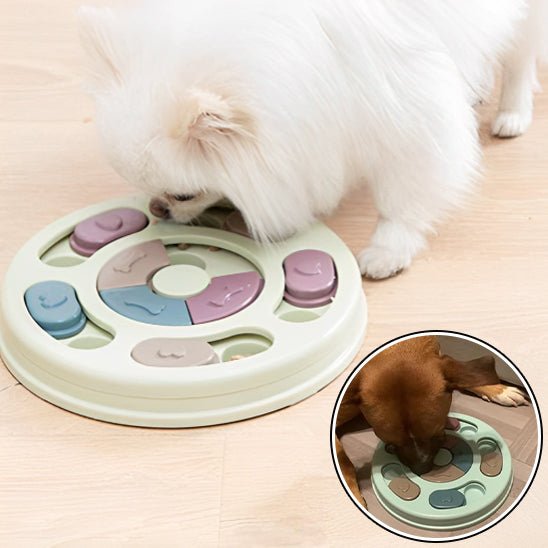 tapis-de-fouille-search-chien-blanc-brun