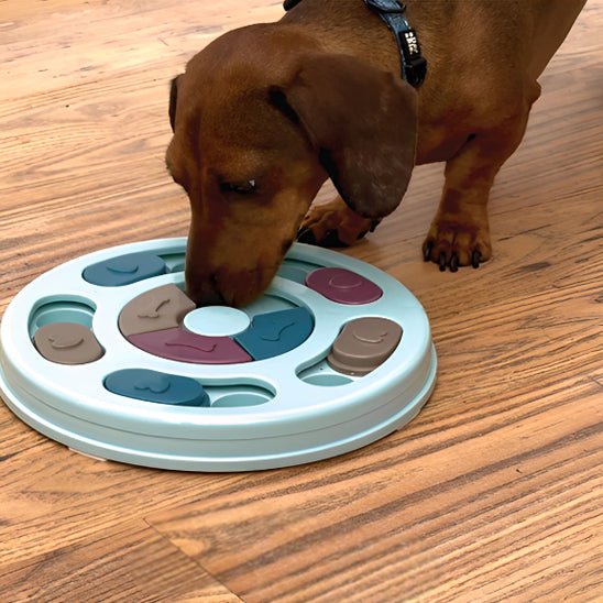 tapis-de-fouille-search-chien-brun-debout