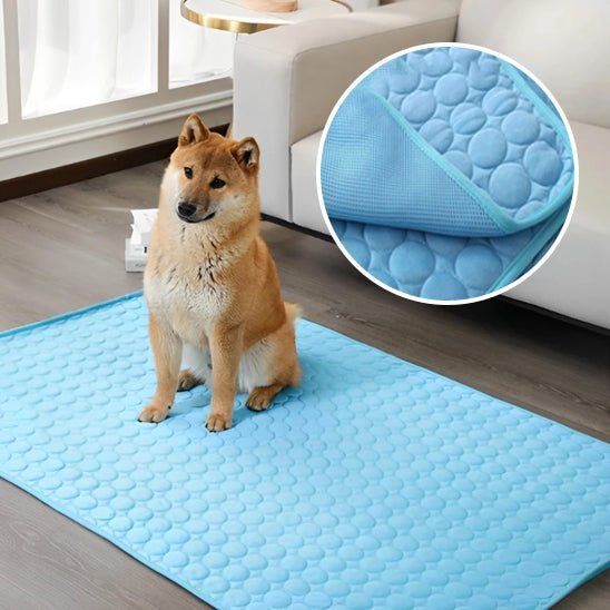 tapis-pour-chien-rafraichissant-chien-assis
