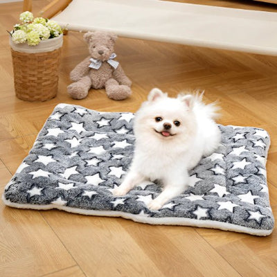 Tapis pour chien rafraîchissant coolingdog chien blanc, bleu