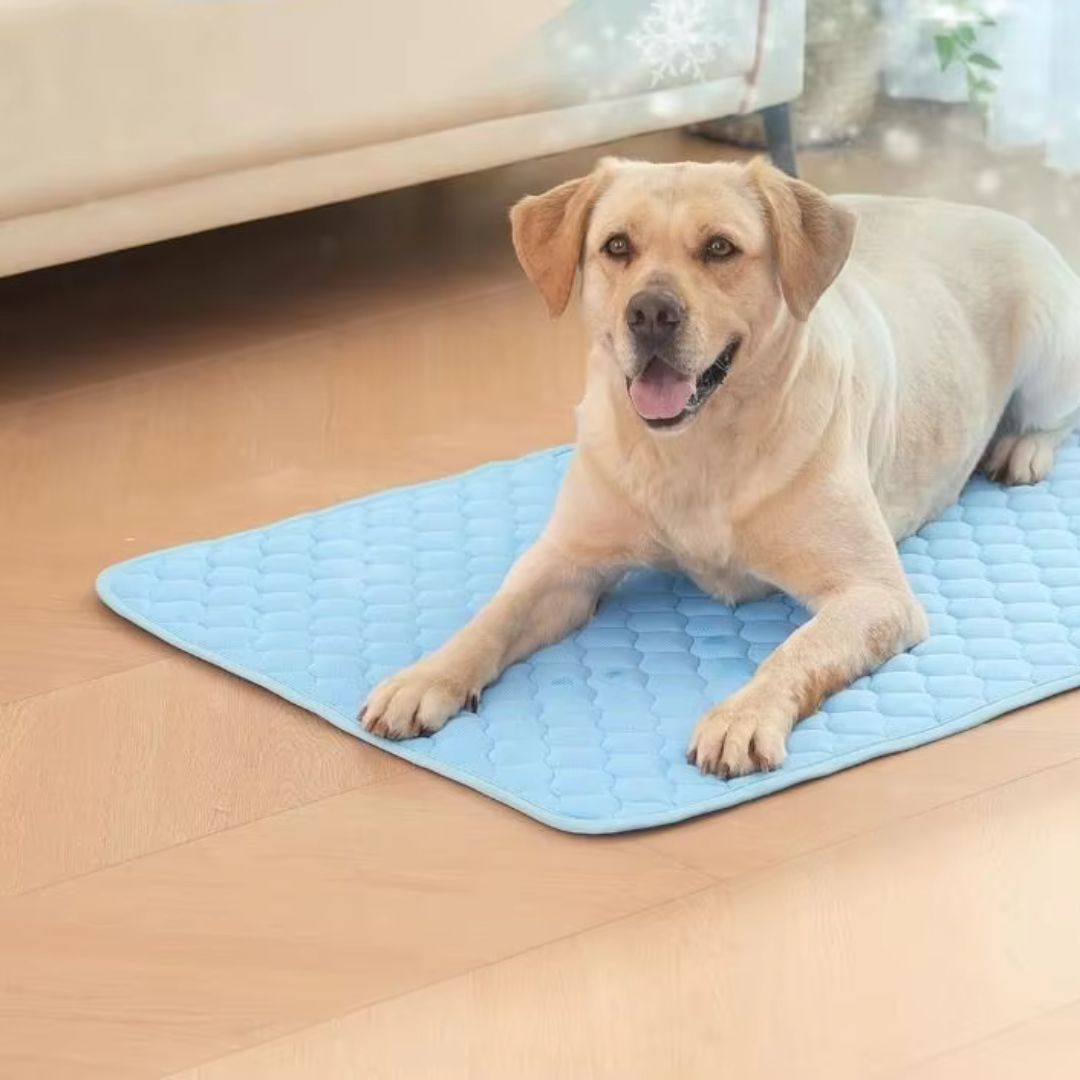 tapis-pour-chien-rafraichissant-dogmat-tapis-coucher-bleu-chien