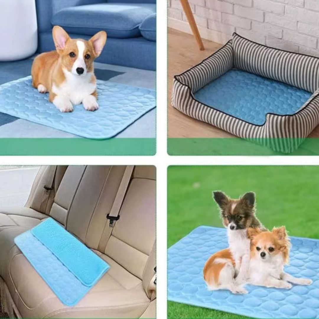 tapis-pour-chien-rafraichissant-plusieurs-petits