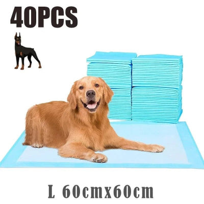 Couche absorbante absorlayer un chien brun