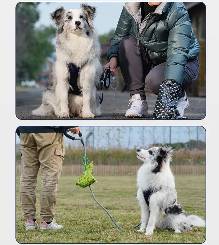 sac-a-crottes-chien-poopbag-chien-regarde