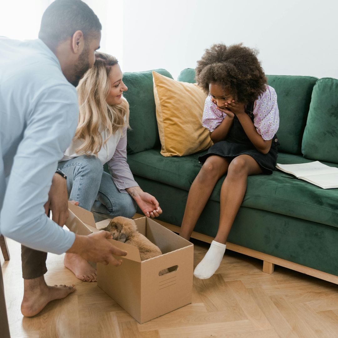 5 conseils pour rendre votre chiot vite propre