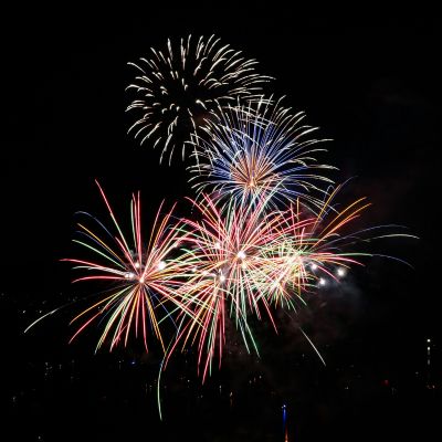 Chiens et feux d’artifice  comment calmer votre animal de compagnie