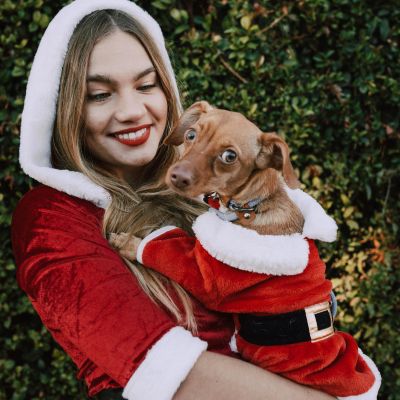 Conseils pour fêter Noël avec votre chien