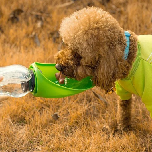 Gourde pour chien | DogBottle™ : Une Sélection de Sécurité et Amusante pour le Chien - Chien trop  content
