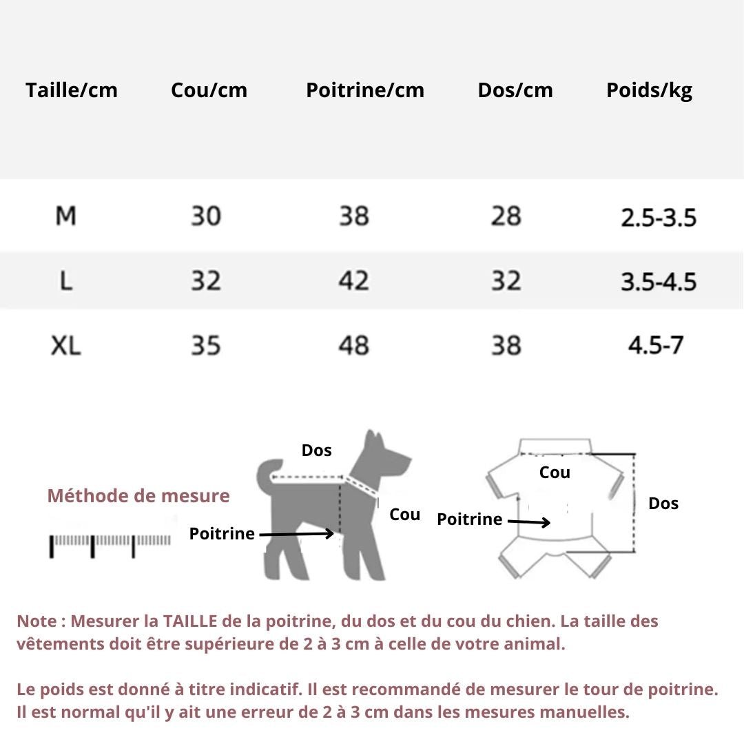 Guide des tailles pour chien : Une Sélection de Sécurité et Amusante pour le Chien - Chien trop  content