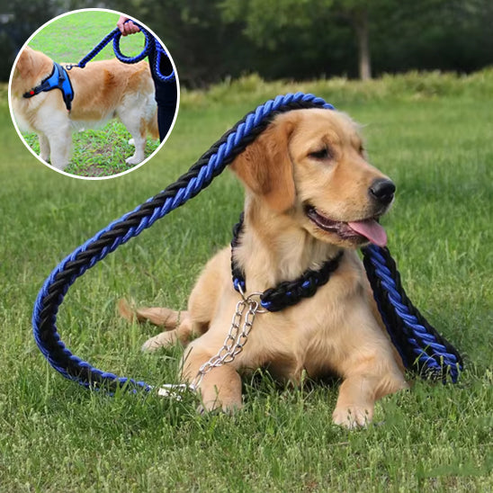 laisse-pour-chien-algenerator-il-est-coucher-laisse-bleu