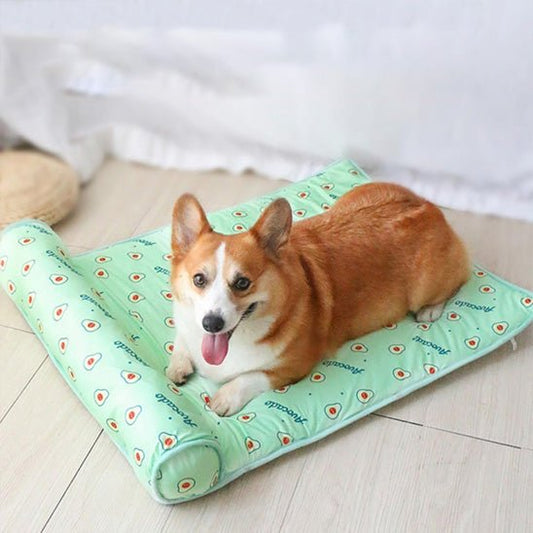 Lit pour chien | forbed chien brun vert