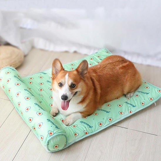 Lit pour chien | forbed chien brun vert