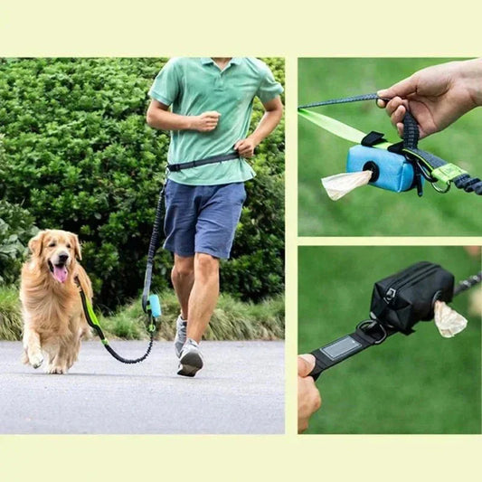 Sac à crottes chien | BagHold™ : Une Sélection de Sécurité et Amusante pour le Chien - Chien trop  content