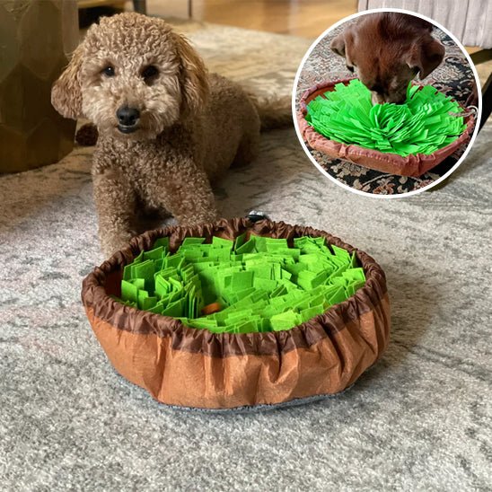 Tapis de fouille | MatSearch™ : Une Sélection de Sécurité et Amusante pour le Chien - Chien trop  content