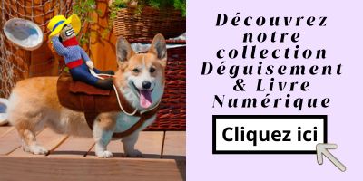 Déguisement & Livre Numérique