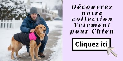 Vêtement pour Chien