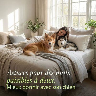 Astuces pour des nuits paisibles à deux, merci