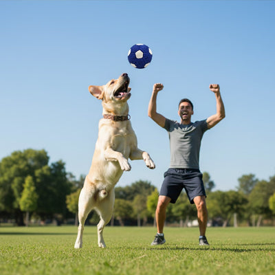 Balle chien UltraResistant bleu blanc sauter chien