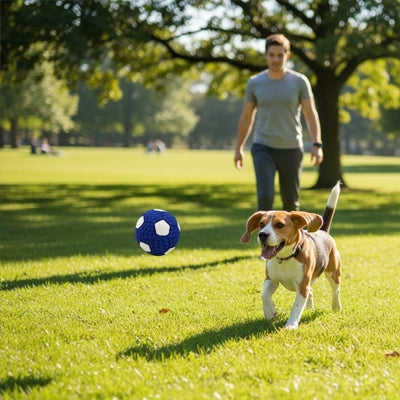 Balle chien UltraResistant bleu marche brun chien
