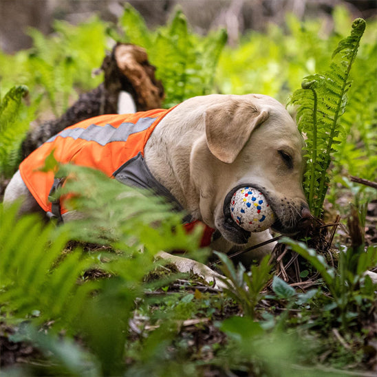 Balle chien | VeryHardWearing™