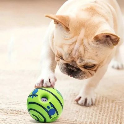 Balle pour chien BallTheToy jouer vert chien