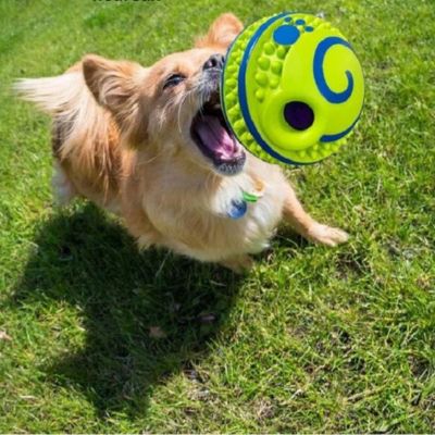 Balle pour chien BallTheToy vert attraper chien