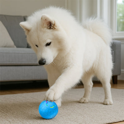 Balle pour chien DurableUltra bleu blanc salon chien