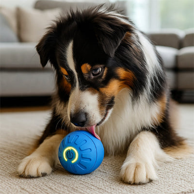 Balle pour chien DurableUltra bleu noir chien