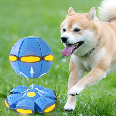 Balle pour chien ExtraStong bleu courir crème chien