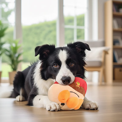 Balle pour chien ExtremelyDurable superman du pain noir chien