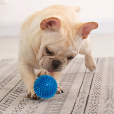 Balle pour chien HardWearing bleu debout crème chien