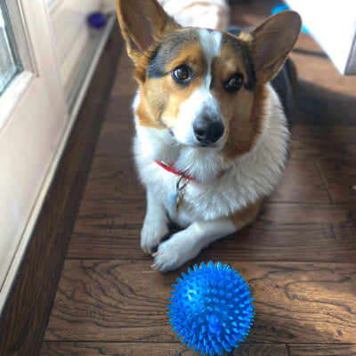 Selected Variant Image