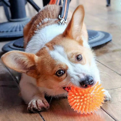 Balle pour chien HardWearing orange brun blanc chien