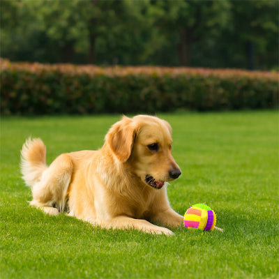 Balle pour chien HigherResista multicolore brun gazon chien